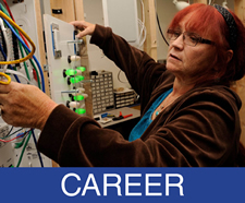 Career